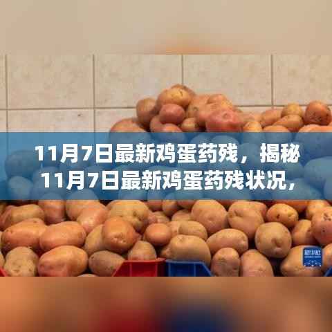 揭秘最新鸡蛋药残状况,如何保障食品安全与个体健康?