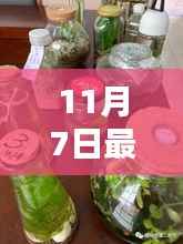 11月7日科技前沿,引领未来的创新突破与趋势