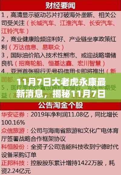 揭秘,大老虎永康最新动态与背后故事曝光(11月7日更新)