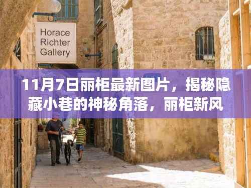 揭秘神秘角落,丽柜新风尚独家美图欣赏——11月7日最新图片曝光