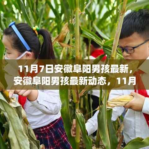 安徽阜阳男孩成长新动态,11月7日的足迹与未来展望
