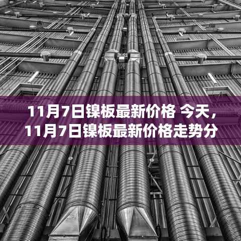 今日镍板最新价格走势分析,多方观点碰撞与个人见解(11月7日)