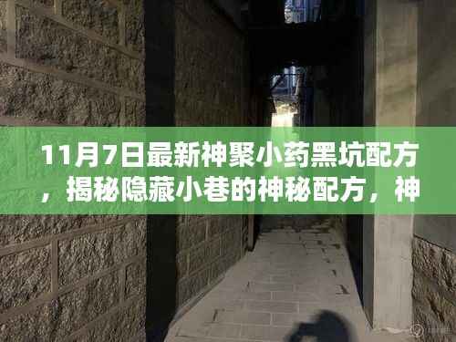 揭秘神聚小药黑坑配方,全新上线,探寻隐藏小巷的神秘配方!