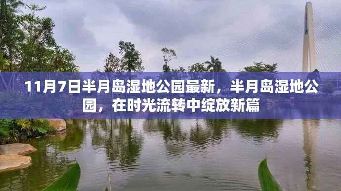 时光流转中的新篇章,半月岛湿地公园最新动态揭秘