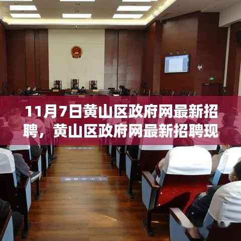 黄山区政府网最新招聘现象,探究其影响与价值