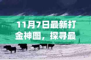 探寻最新打金神图,与自然美景的邂逅与心灵之旅的启程