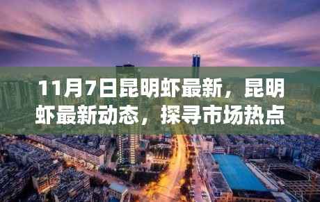 昆明虾市场最新动态,探寻热点与产业趋势(以11月7日为观察点)