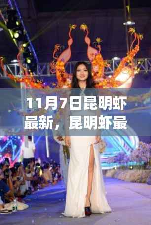 昆明虾市场最新动态,探寻热点与产业趋势(以11月7日为观察点)