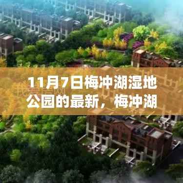 梅冲湖湿地公园,11月7日新篇章开启