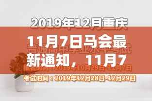11月7日马会新篇章,变化中的学习,自信成就之源