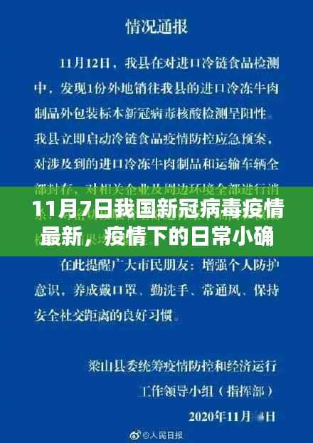 11月7日疫情下的日常小确幸,阳光与温情的交织