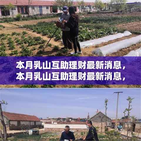 本月乳山互助理财最新动态，深度解析与观点阐述