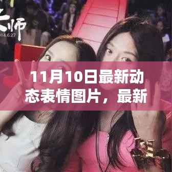 11月10日动态表情图片制作指南,初学者与进阶用户必备技能