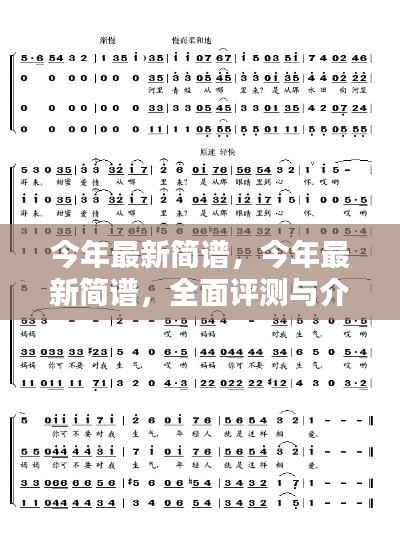 今年最新简谱，全面评测与详细介绍