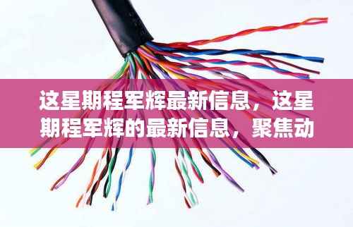 程军辉最新动态聚焦，本周发展概览