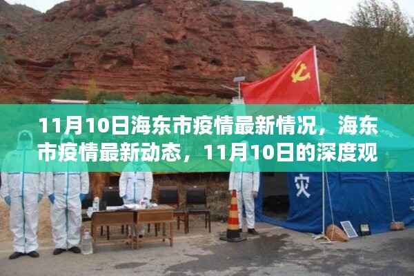 海东市疫情最新动态深度观察,11月10日最新情况及影响分析