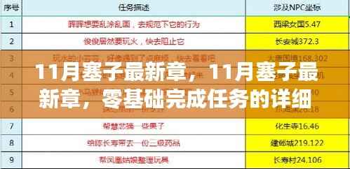 零基础完成任务的详细步骤指南,揭秘11月塞子最新章
