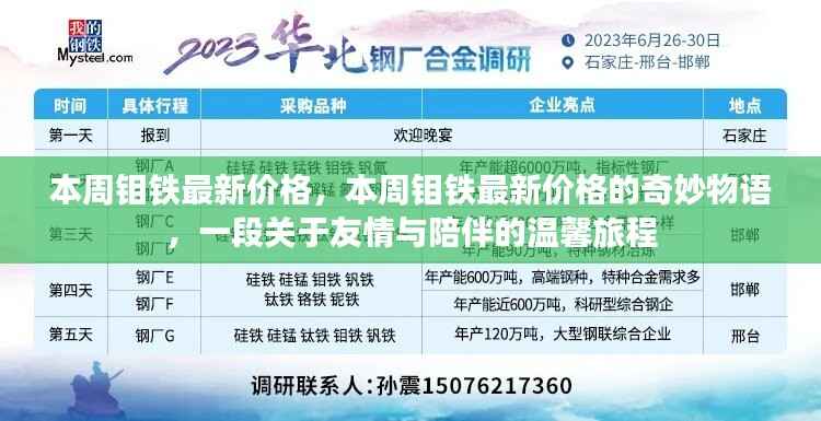 本周钼铁最新价格揭秘,友情与陪伴的温馨旅程