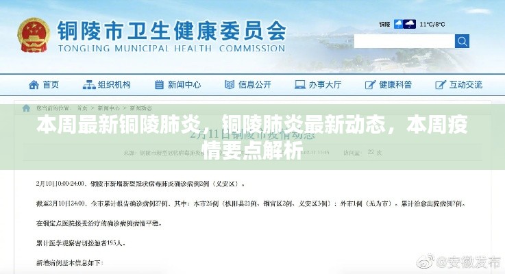 本周铜陵肺炎最新动态与疫情要点解析