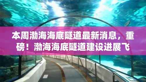 渤海海底隧道建设进展飞速,最新消息汇总揭秘隧道建设进展顺利!