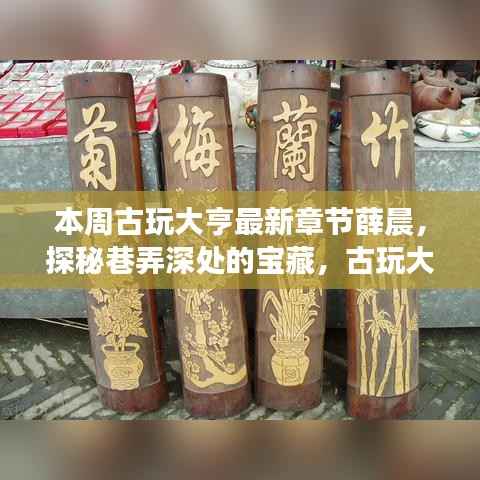 薛晨的古玩之旅,揭秘巷弄深处的隐秘宝藏新篇章