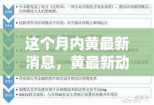 本月内黄领域掀起波澜,引领时代风潮,最新动态与消息速递