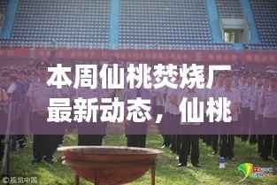 仙桃焚烧厂最新动态揭秘,本周运营更新与参与监督指南