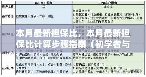 本月担保比计算指南,初学者与进阶用户适用