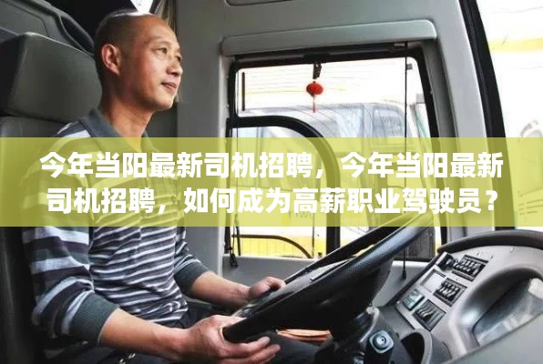 今年当阳最新司机招聘,如何成为高薪职业驾驶员?