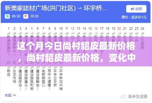 尚村貂皮最新价格动态,学习成长与自信成就感的源泉