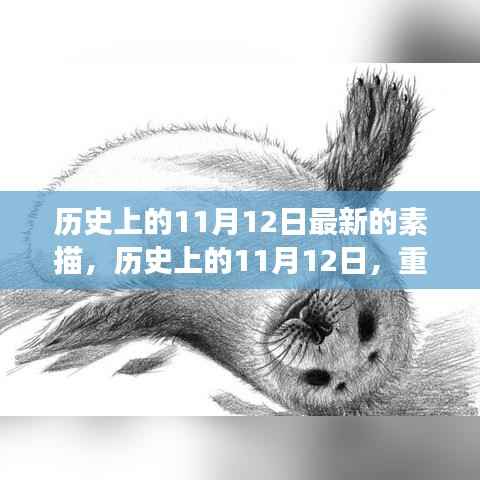素描历史上的重大事件,揭秘11月12日的印记与影响