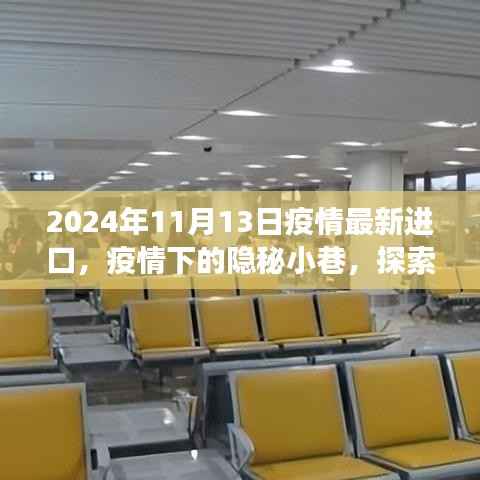 疫情下的隐秘小巷,探索独特进口特色小店的奇妙之旅(最新疫情进口资讯,2024年11月)
