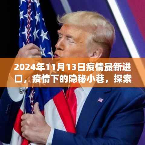 疫情下的隐秘小巷,探索独特进口特色小店的奇妙之旅(最新疫情进口资讯,2024年11月)