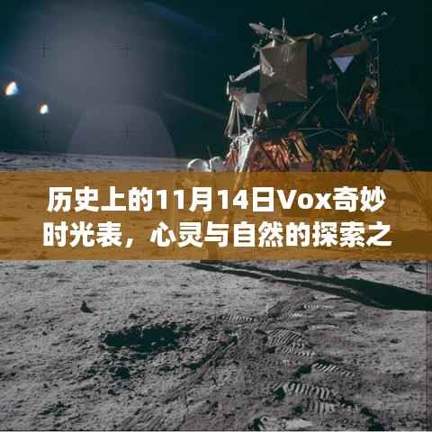 历史上的11月14日Vox奇妙时光表，心灵与自然的探索之旅