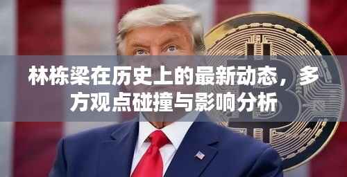 林栋梁在历史上的最新动态,多方观点碰撞与影响分析