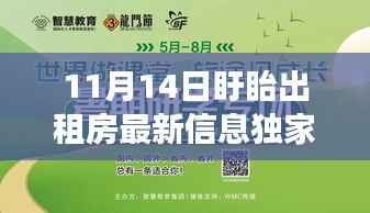 11月14日盱眙出租房最新信息独家爆料,租房市场火热开启大盘点