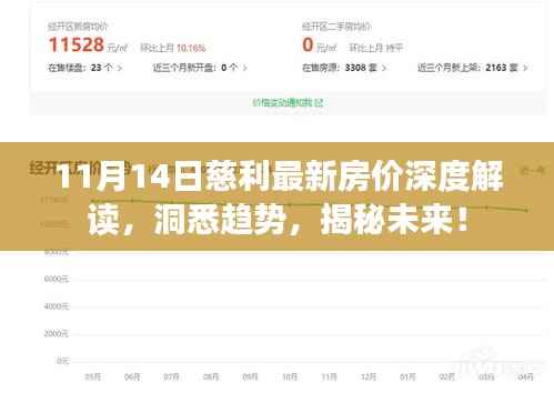 11月14日慈利最新房价深度解读,洞悉趋势,揭秘未来!