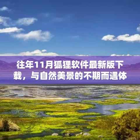 往年11月狐狸软件最新版下载,与自然美景的不期而遇体验