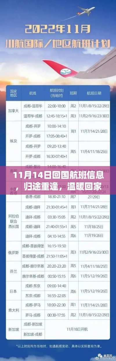 11月14日回国航班信息,归途重逢,温暖回家的航班