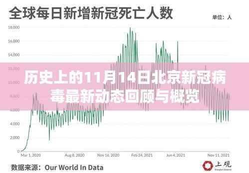 历史上的11月14日北京新冠病毒最新动态回顾与概览