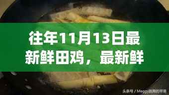 秋日厨房冒险，寻找最鲜田鸡与友情的传奇故事