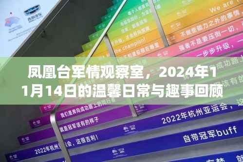 凤凰台军情观察室,2024年11月14日的温馨日常与趣事回顾