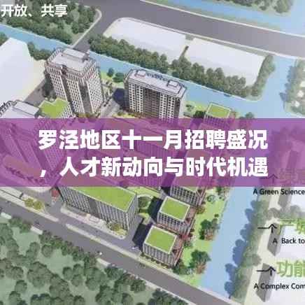 罗泾地区十一月招聘盛况,人才新动向与时代机遇探寻