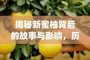 揭秘新蜜柚背后的故事与影响,历年双日期下的独特魅力