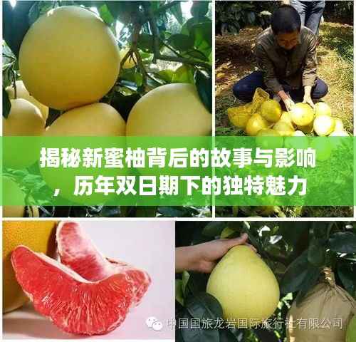 揭秘新蜜柚背后的故事与影响,历年双日期下的独特魅力
