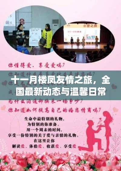 十一月楼凤友情之旅,全国最新动态与温馨日常