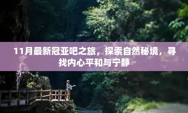 11月最新冠亚吧之旅,探索自然秘境,寻找内心平和与宁静
