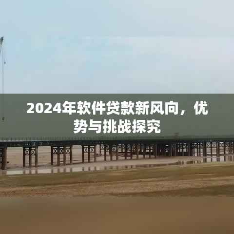 2024年软件贷款新风向,优势与挑战探究