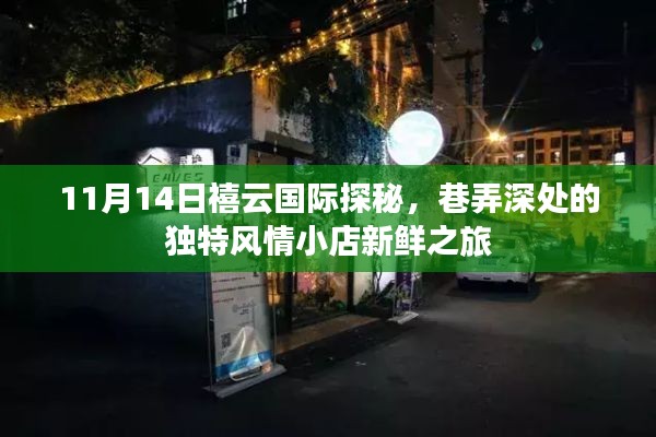 11月14日禧云国际探秘,巷弄深处的独特风情小店新鲜之旅