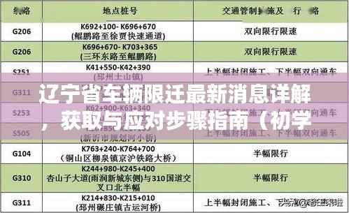 辽宁省车辆限迁最新消息详解，获取与应对步骤指南（初学者与进阶用户必备）